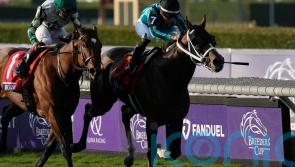 Live In The Dream goes down fighting in Turf Sprint