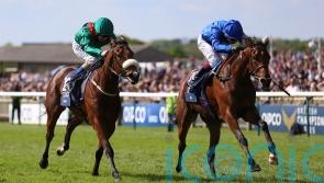 Dubai beckons for Mawj following agonising defeat