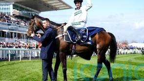 Constitution Hill&rsquo;s return edges nearer as Fighting Fifth entries revealed