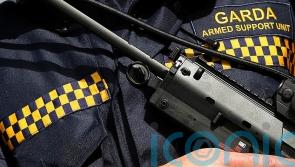 Garda fired gun during attempt to stop stolen lorry