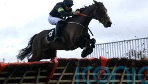 Heskin backing Zoe for bold Down Royal showing