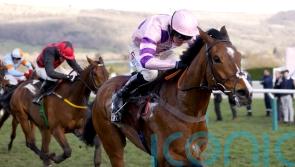 Stay Away Fay makes perfect start to chasing career