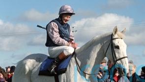 On this day in 2006: Gold Cup winning Desert Orchid dies at the age of 27