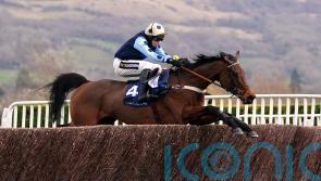 Edwardstone &lsquo;ready to go&rsquo; for Cheltenham return