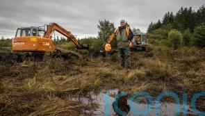 Urgent appeal for information as latest search for Columba McVeigh ends