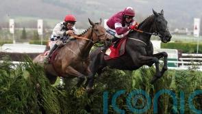 Delta Work and Galvin clash again at Cheltenham