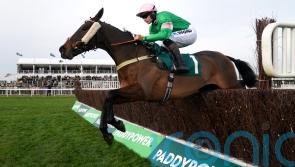 Homme Public capitalises on JPR One stumble