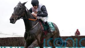 Cotswold Chase emerges as possible option for Gerri Colombe