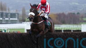 The Real Whacker still on course for King George challenge