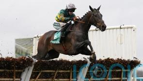 Inthepocket and Fact To File backed to improve on promising chasing debuts