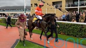 Jones plots Fred Winter route for the promising An Bradan Feasa