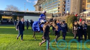 Blueking D&rsquo;Oroux takes Coral Hurdle prize