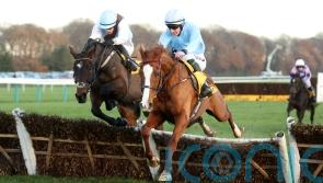 Slate Lane reported to have avoided infection in tendon injury