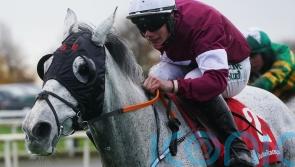 Coko Beach in fine spirits for Becher Chase bid