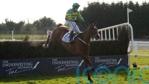 Janidil on the hunt for easier pickings