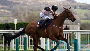 Relkeel Hurdle option open to Bob Olinger