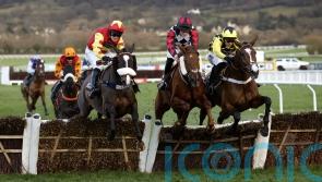 Shanagh Bob shows plenty of spirit to stay unbeaten