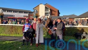 Thunder Rock none the worse for Cheltenham disappointment