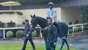 Doddiethegreat continues to delight after lengthy injury lay-off