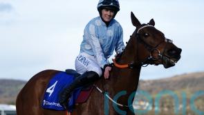 The day wonder mare Honeysuckle had her glorious swansong