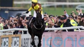 Mullins contemplating tactical switch with Galopin Des Champs