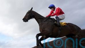 Allaho heads super six in King George