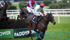 Facile Vega well beaten by Found A Fifty