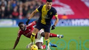 Football rumours: Dominic Solanke catching the eye of Tottenham