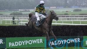 Dinoblue rewards supporters in Mullins clean sweep