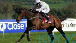 Gaelic Warrior all class in Limerick romp
