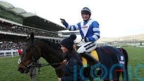 Former King George hero Frodon retired