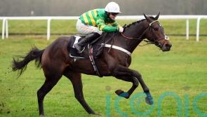 Henderson in search of Festival prep for Supreme favourite Jeriko Du Reponet