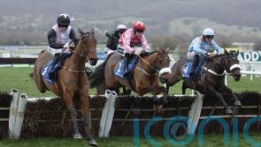 Bob Olinger the Relkeel hero back at Cheltenham