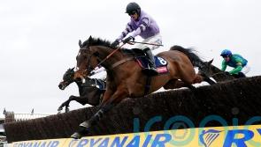 Nicholls confident Stage Star can get back on track