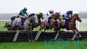 Pauling taking patient approach with The Jukebox Man