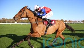 Fehily pleased to see Tahmuras back to winning ways