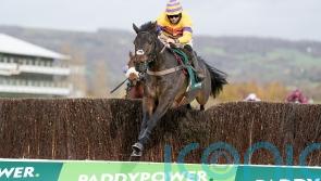 Nicholls poised for more Wincanton gains