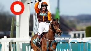 Stayers&rsquo; Hurdle could be potential route to Aintree for Noble Yeats