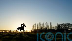 Fontwell called off early due to frozen track