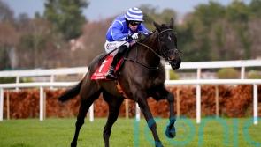 Ile Atlantique takes Grade One leap in eagerly-awaited Naas feature