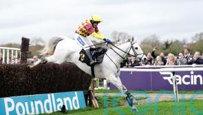 Veterans&rsquo; triumph in Ramses De Teillee&rsquo;s sights