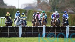 Cold snap prompts Hereford and Plumpton to inspect