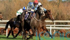 Brassil has National aspirations with Panda Boy