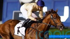 Dubai World Cup runner-up Algiers heads for retirement