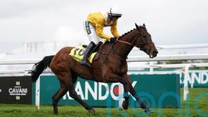 Apple Away camp considering Cheltenham options