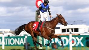 Festival hope Ashroe Diamond likely for Doncaster assignment