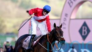 Cheltenham Gold Cup hero A Plus Tard retired