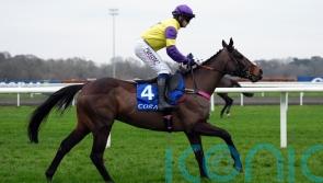 Kerry Lee planning to &lsquo;shop around&rsquo; for Nemean Lion aim