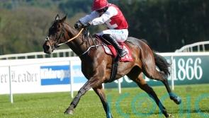 Sandor Clegane chasing first win over fences at Navan