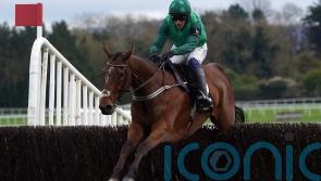 Leopardstown looks favoured for El Fabiolo in preference to rearranged Clarence House